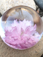Handmade Resin Paperweights with Real Flowers – Clover, Nigella, Orchid & Cherry Blossom - Image 4