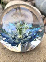 Handmade Resin Paperweights with Real Flowers – Clover, Nigella, Orchid & Cherry Blossom - Image 3