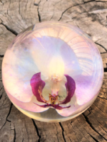 Handmade Resin Paperweights with Real Flowers – Clover, Nigella, Orchid & Cherry Blossom - Image 2
