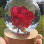 Red Rose Resin Accent Light with Wooden Stand | Handmade Resin Craft with Real Rose Inside - Home Décor Night Light, Beautiful Flower Gift