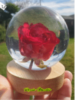 Red Rose Resin Accent Light with Wooden Stand | Handmade Resin Craft with Real Rose Inside - Home Décor Night Light, Beautiful Flower Gift