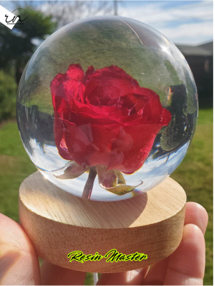 Red Rose Resin Accent Light with Wooden Stand | Handmade Resin Craft with Real Rose Inside - Home Décor Night Light, Beautiful Flower Gift