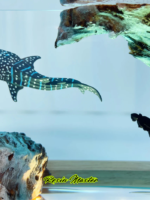 Whale Shark Cube Resin Lamp – Handmade Home Decor, Personalized & Holiday Gifts for Kids, Divers, Christmas & Halloween - Image 4
