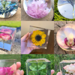 Handmade Resin Paperweights with Real Flowers – Clover, Nigella, Orchid & Cherry Blossom
