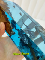 Whale Shark Cube Resin Lamp – Handmade Home Decor, Personalized & Holiday Gifts for Kids, Divers, Christmas & Halloween - Image 3