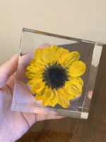 Handmade Resin Paperweights with Real Flowers – Clover, Nigella, Orchid & Cherry Blossom - Image 6
